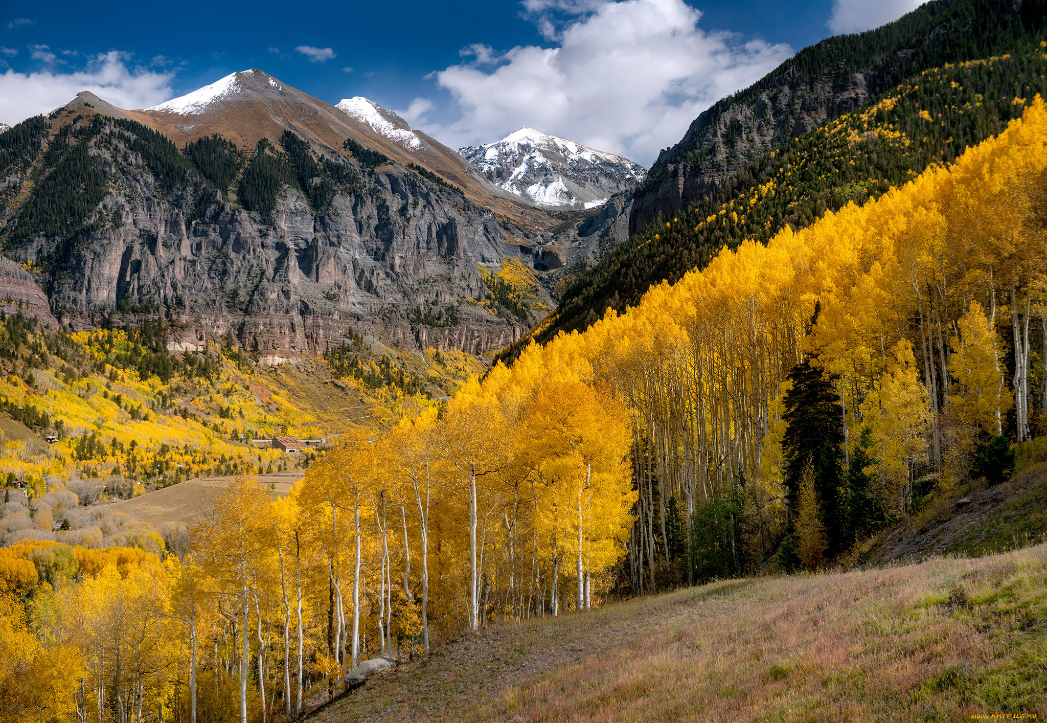 �������, ����, ������